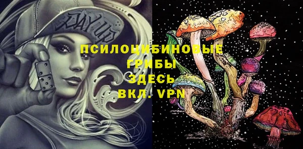 MDMA Ельня