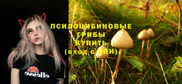 метамфетамин Дмитриев