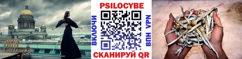 Псилоцибиновые грибы мухоморы  Дзержинск 
