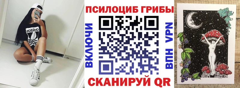 Псилоцибиновые грибы мицелий Дзержинск